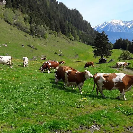 아파트 Feichtner Manfred -tulfes - Innsbruck-land - Tirol *