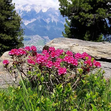 Feichtner Manfred -tulfes - Innsbruck-land - Tirol アパート *